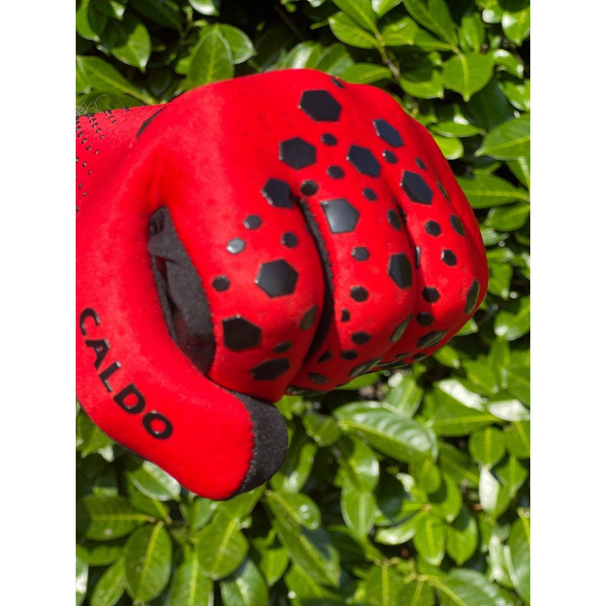 {{product_title}} by Selsport – Professional Goalkeeper Gloves featuring {{product_option_color}} and {{product_option_cut}} design{{product_title}} by Selsport – Professional Goalkeeper Glov